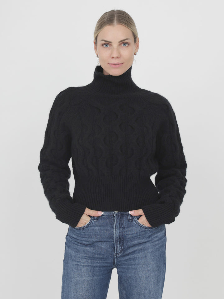 Cashmere Cable Slightly Cropped Turtleneck #BLACK