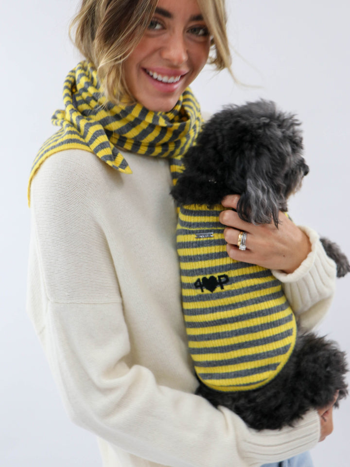 Cashmere Pet Sweater #SUNFLOWER/GREY