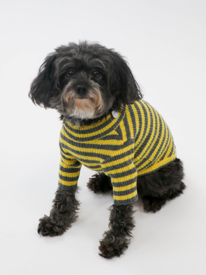 Cashmere Pet Sweater #SUNFLOWER/GREY