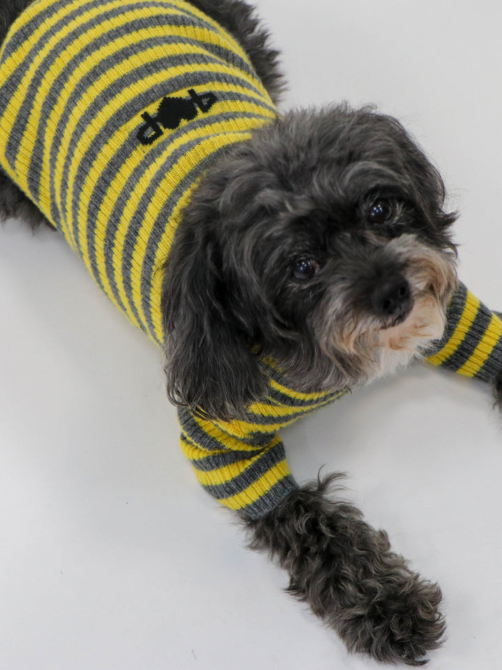 Cashmere Pet Sweater #SUNFLOWER/GREY