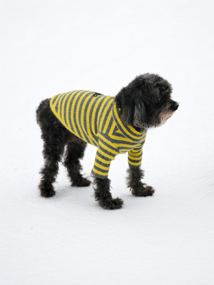 Cashmere Pet Sweater #SUNFLOWER/GREY