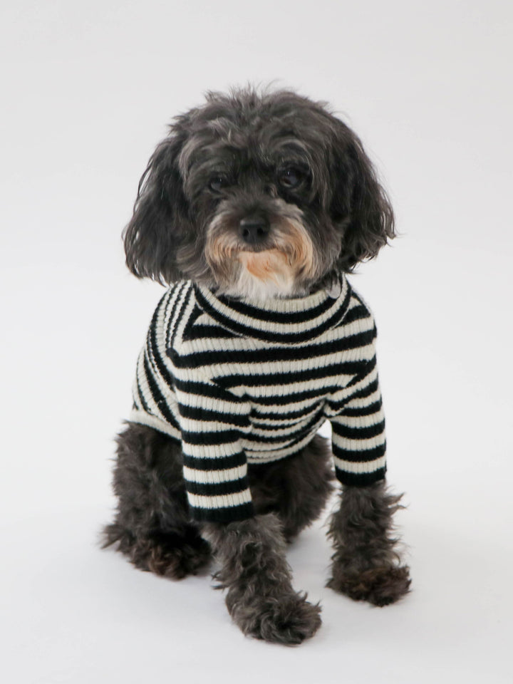 Cashmere Pet Sweater #BLACK/WHITE