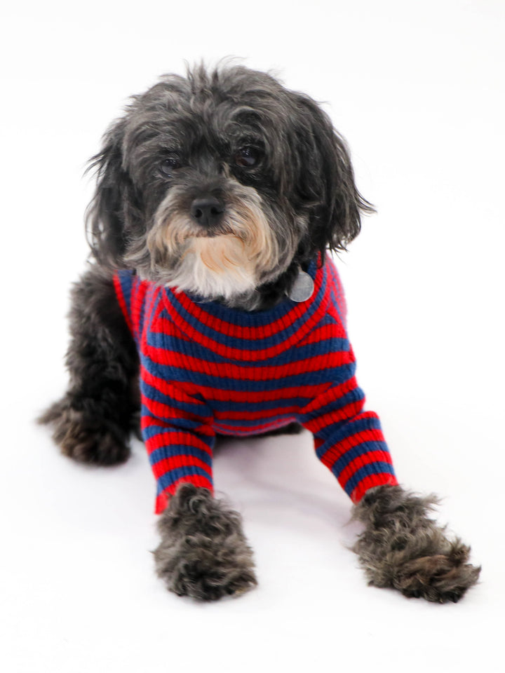 Cashmere Pet Sweater #RED/BLUE