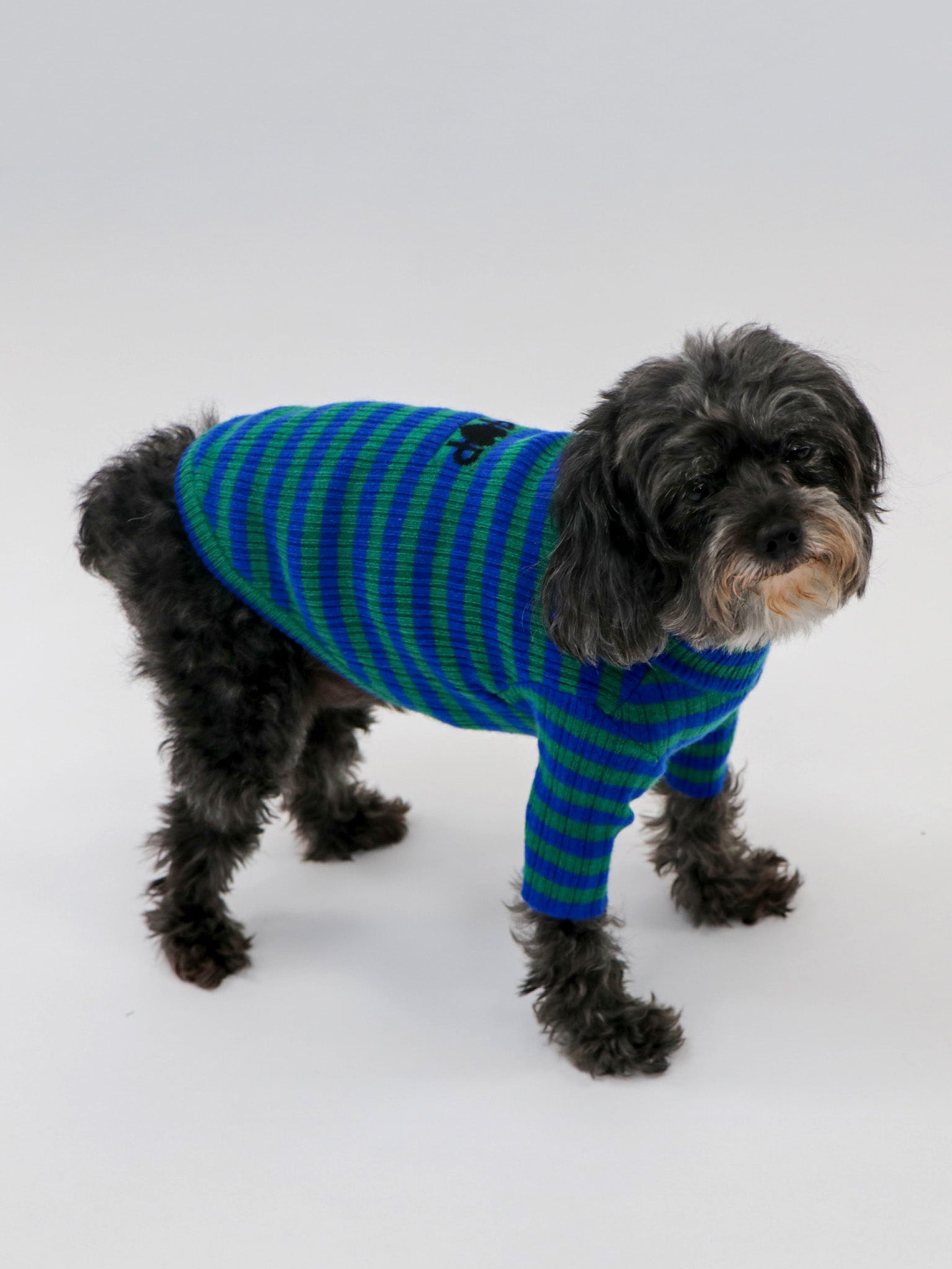 Cashmere Pet Sweater 