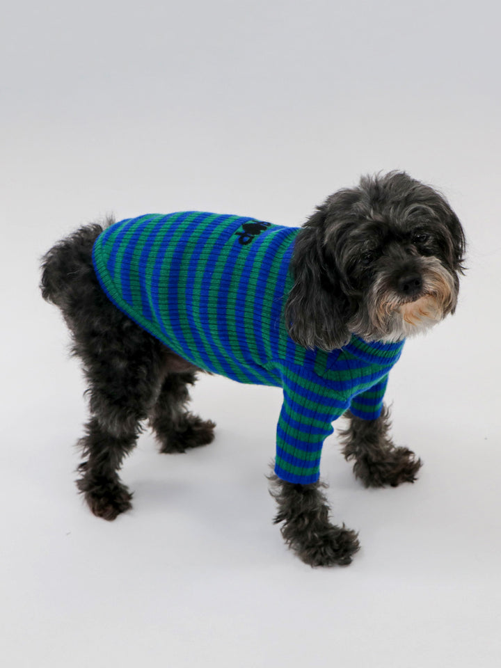 Cashmere Pet Sweater #GREEN/BLUE