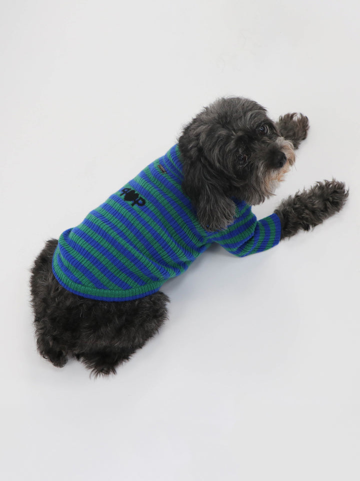 Cashmere Pet Sweater #GREEN/BLUE
