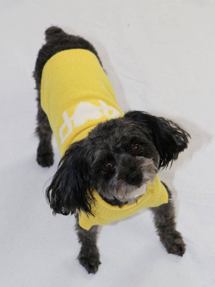 Cashmere Dog Sweater #SUNFLOWER