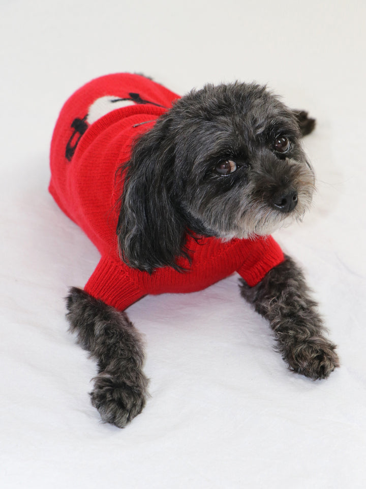Cashmere Dog Sweater #RED