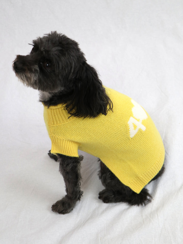 Cashmere Dog Sweater #SUNFLOWER